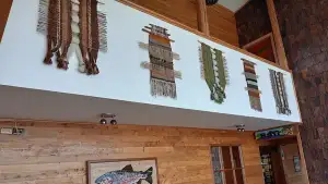 Foto de Caipulli Riomar