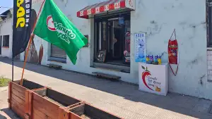 Foto de Canasta Raíces Sanas