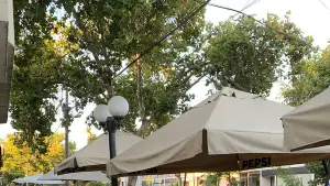 Foto de CONSERBAR