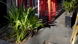 Foto de Di Varas Pizzas y Pastas