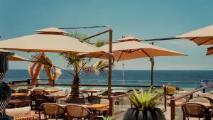 Foto de Gaia Restaurante