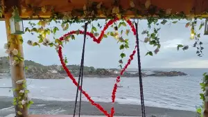 Foto de León Andino