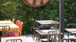Foto de Quercus