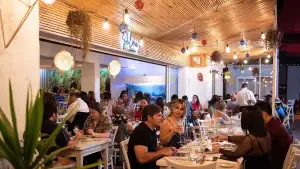 Foto de Pulmay