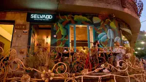 Foto de SELVADO