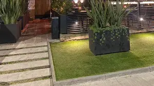 Foto de Tanaka