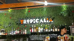 Foto de Tropicalia